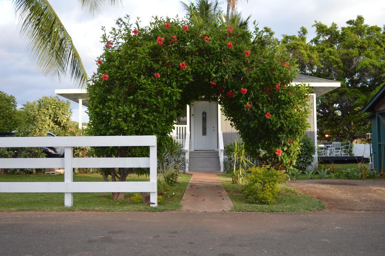The Lahaina Beach House Ostello Esterno foto