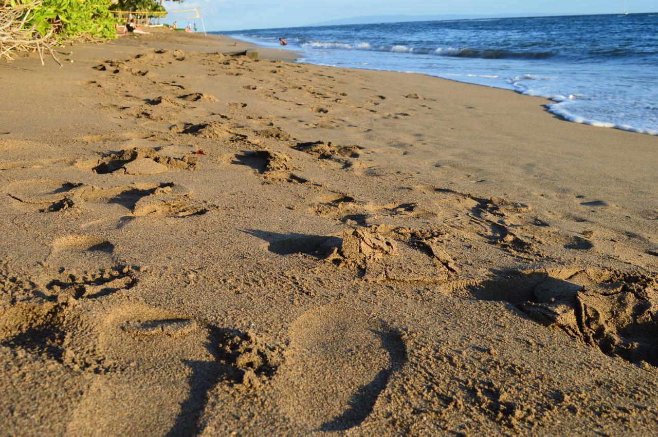 The Lahaina Beach House Ostello Esterno foto